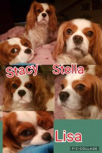 Stella, Stacy och
 Lisa