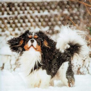 Underbart med snö