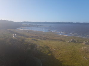 Högt vatten på strandängarna