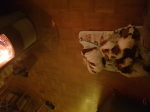 20201223_164451
